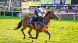 Overpass set for surprise backup at royal meeting just five days after placing in Group 1 event
