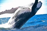 Ethereum News: Dormant Ether Whale Moves $13M in ETH to Kraken