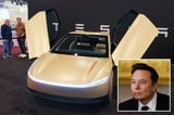 Tesla sales disappoint, but Elon Musk vows new cars 'will be in the wild, with no one in them'