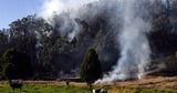 Colombia passes law to track cattle and keep deforestation-linked beef out of supply chains