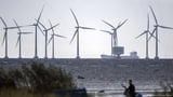 EU launches Clean Industrial Deal to overhaul energy sector