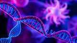 RNA Tagging Enzyme METTL16 Fuels Colorectal Cancer by Hijacking Amino Acid