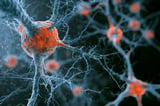 Arc Protein Found to Spread Toxic Tau in Alzheimer’s