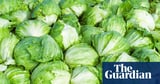 US officials declare multi-state cyclospora outbreak over