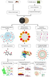 Unraveling Cordia myxa’s anti-malarial potential: integrative insights from network pharmacology, molecular modeling, and machine learning