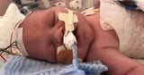 Judge hits NHS trust with huge fine after 'avoidable' deaths of newborn babies