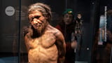 Neanderthal gene makes some modern humans taller and more muscular