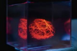 Complex blood vessel nets could be 3D printed for artificial organs