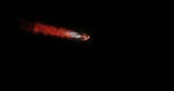 Sonic boom shakes Southern California as SpaceX Dragon returns to Earth