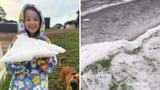 WA’s capital Perth battles through coldest day in 50 years, with city on track to set new August rain record