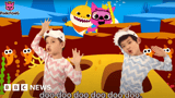 Baby Shark did not plagiarise - South Korean top court