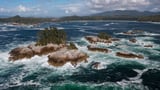 Vast marine conservation reserve, bigger than P.E.I., to protect B.C. central coast