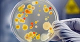 Scientists revive 100-million-year-old microbes collected from the bottom of the South Pacific Ocean - NewsBreak