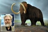 Biotech company reveals breakthrough that could lead to revival of extinct woolly mammoth