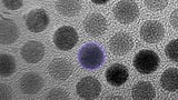 Researchers Unveil New State of Matter With Unique Traits