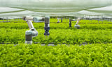 Is The Future Of Agriculture Autonomous Farms?