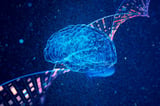 Single-Cell Maps Reveal Genome Reorganization in Alzheimer’s Brain Cells
