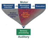 Brain scan study shows what happens in the brain when a person with schizophrenia hears voices