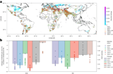 Wheat breeding strategies for increased climate resilience