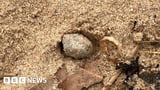 Sydney mystery balls: Debris forces nine beaches to close