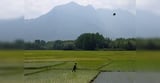 Govt tightens fertiliser tracking, links farmer purchases to land records
