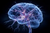 Early Brain Damage From Sports Hits Seen Long Before CTE