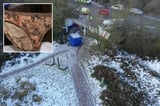 Filthy women’s donkey print PANTS could reveal identity of Baby Ava’s parents 1 year after she was buried i...