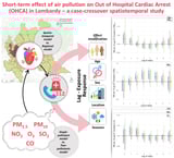 Direct link between peak air pollution and cardiac risk revealed