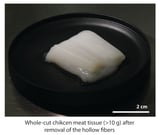 Bite-sized chunks of chicken with the texture of whole meat can be grown in the lab