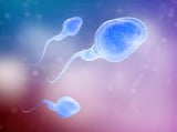 European sperm donor scandal: 52 children in Belgium born to donor with cancer gene