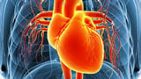 Monitoring Heart Health Crucial in Patients With Anorexia