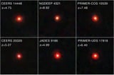 Little Red Dots Are The Seeds of Quasars and Supermassive Black Holes