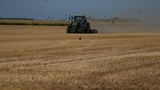 A punishing European drought shrivels crops from Dutch potatoes to Bosnian corn