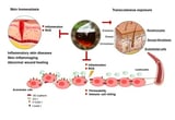 Promising Support Coming from Nature: Antioxidant and Anti-Inflammatory Potential of Castanea sativa Wood Distillate on Skin Cells