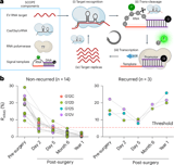 A CRISPR-based method for detecting mRNA in extracellular vesicles