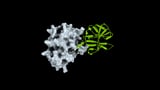 How Open Science Can Help Researchers Prepare for the Next Pandemic