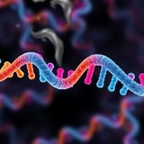 Study Explains Why DNA Damage from Smoking or UV Causes Cancer in Some