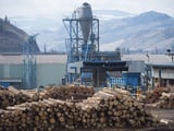 'Very concerning': Lumber industry dismayed as U.S. tariffs soar on Canadian softwood lumber