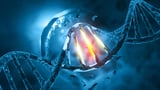 Why the same DNA damage causes cancer in some people but not others
