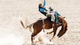 How these proposed standards aim to tame our AI wild west