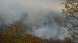 140-acre wildfire in Rockaway Township is 50% contained