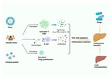 Mesenchymal Stem Cell-Derived Exosomes: Emerging as a Promising Cell-Free Therapeutic Strategy for Autoimmune Hepatitis