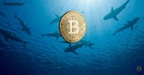 Bitcoin Dominates At 59%: Unstoppable Institutional Buying Frenzy