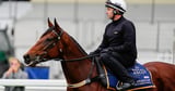 Joliestar part of international contingent at Ascot on Saturday