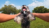 The Tiniest Action Camera Is Now Slightly Larger, and So Much Better for It