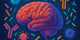 Scientists link immune system proteins to mental health conditions like schizophrenia and depression