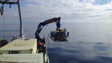 Microbes in deep-sea volcanoes can help scientists learn about early life on Earth, or even life beyond our planet