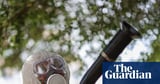 Excruciating tropical disease can now be transmitted in most of Europe, study finds