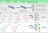 Microbe-assisted fabrication of circularly polarized luminescent bacterial cellulosic hybrids