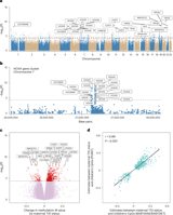 Blood methylome signatures in children exposed to maternal type 1 diabetes are linked to protection against islet autoimmunity